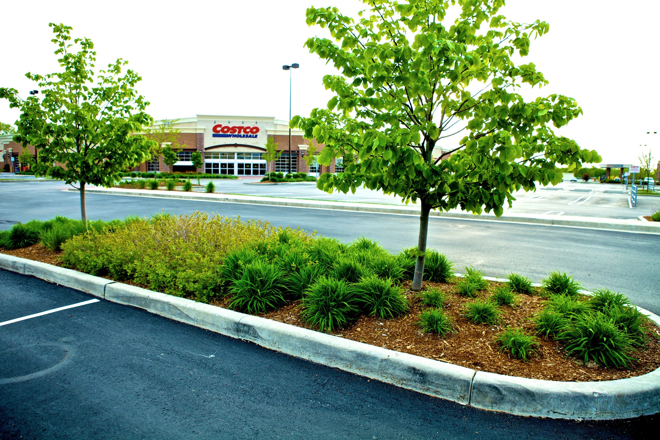 Jerry city commercial landscaping