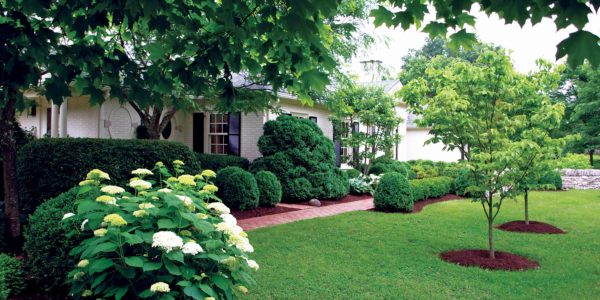 jersey city landscaping
