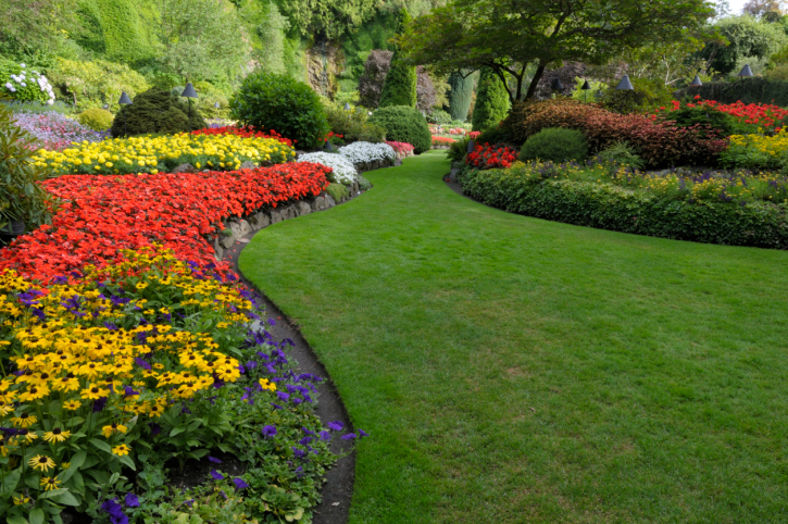 Jersey City Landscapers