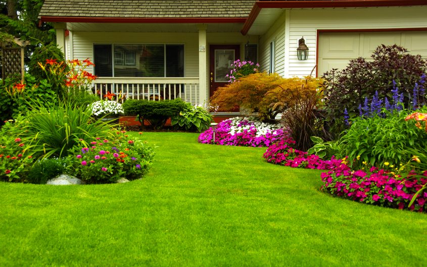 jersey city landscaping