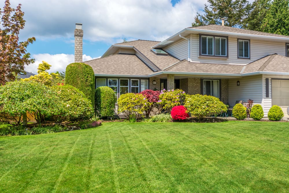 landscaping New Jersey
