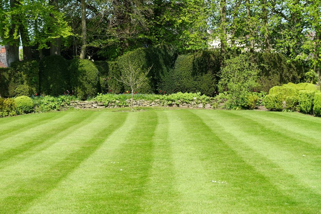 lawn care Jersey city