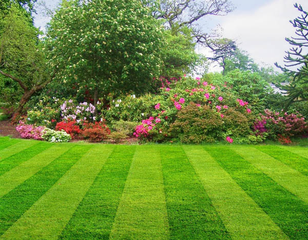 lawn maintenance jersey city