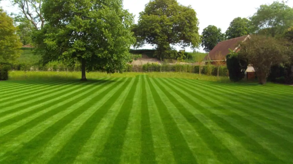 lawn mowing jersey city