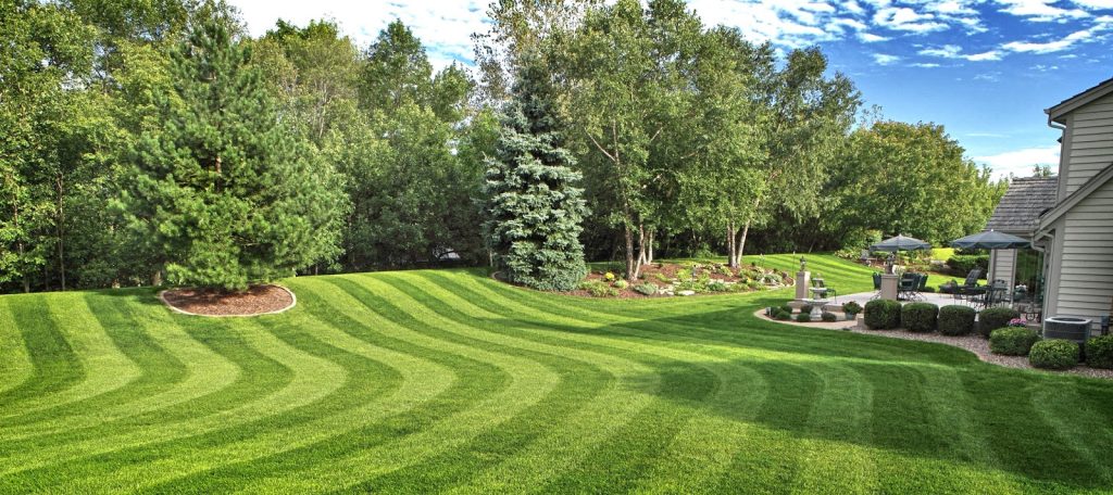 lawn care jersey city