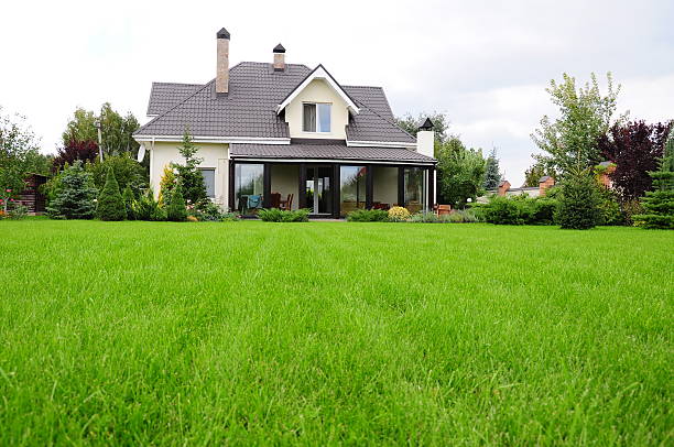 lawn care jersey city