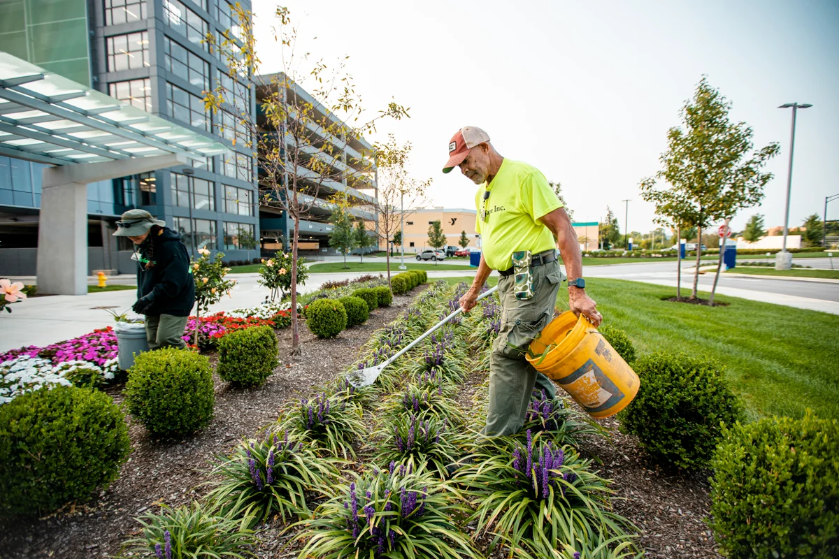 commercial landscaping